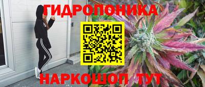 apvp Гусиноозёрск