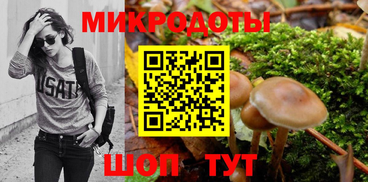 Псилоцибиновые грибы GOLDEN TEACHER Красный Сулин