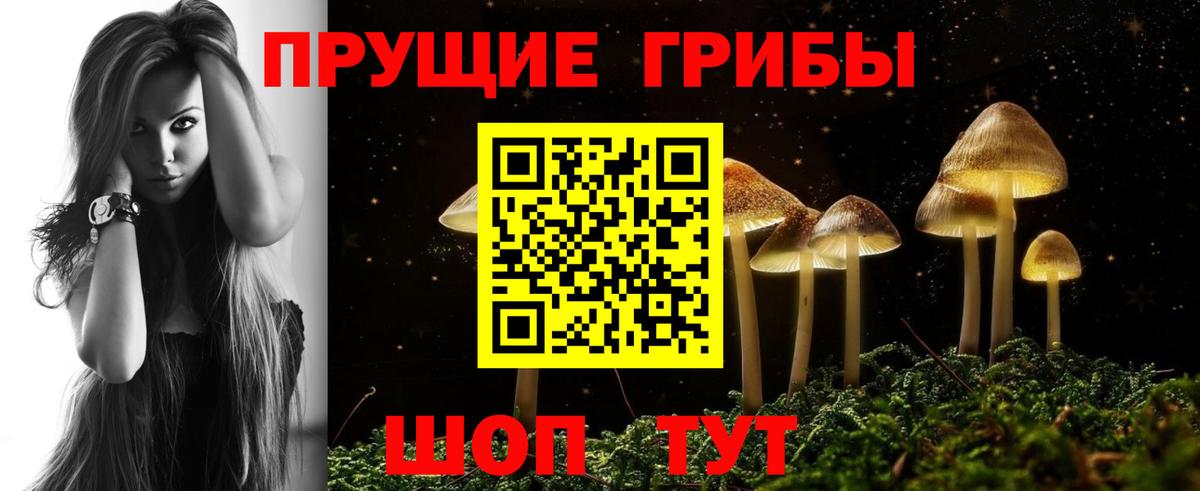 Псилоцибиновые грибы GOLDEN TEACHER  Вход с VPN  Красный Сулин 